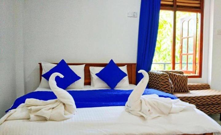 Mirissa Blue Whale Holiday Hotel Exteriör bild