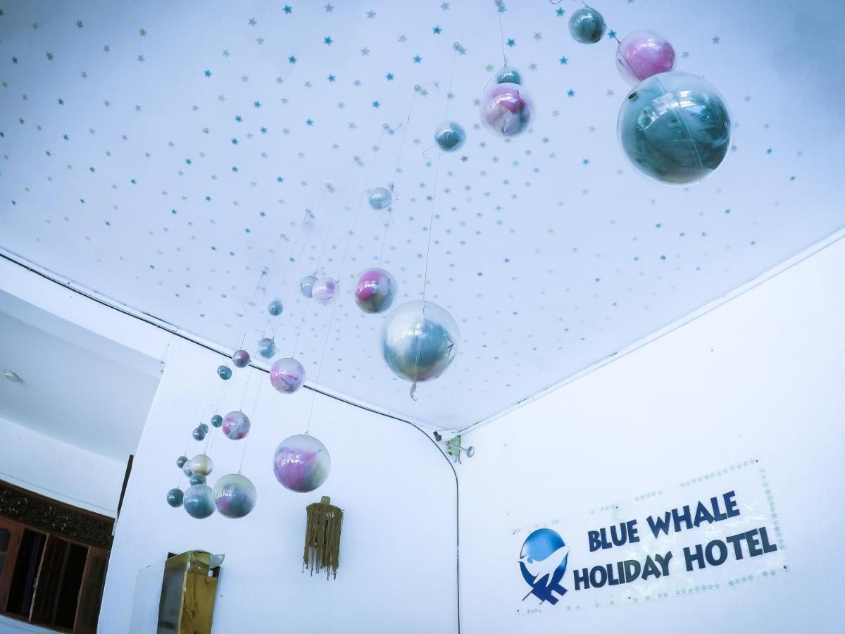 Mirissa Blue Whale Holiday Hotel Exteriör bild